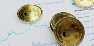 การซื้อ Dogecoin โดยวาฬส่งผลต่อความเชื่อมั่นในตลาด การซื้อ Dogecoin โดยวาฬ