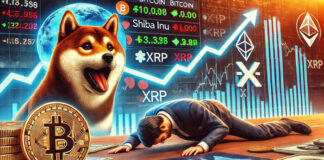 บิทคอยน์ร่วงต่ำกว่า $100,000, Shiba Inu ใกล้แนวรับสำคัญ, XRP แข็งแกร่งที่สุดในตลาด บิทคอยน์ร่วงต่ำกว่า $100,000, Shiba Inu ใกล้แนวรับสำคัญ, XRP แข็งแกร่งที่สุดในตลาด
