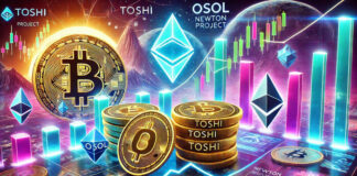 Toshi, OSOL และ Newton Project พุ่งแรงในตลาดคริปโต
