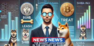 Shytoshi Kusama เตรียมเผยประกาศครั้งยิ่งใหญ่ที่สุดในประวัติศาสตร์ Shiba Inu Shytoshi Kusama เตรียมเผยประกาศ