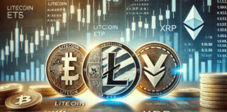 กระแสการยื่นขออนุมัติ ETF สกุลเงินดิจิทัล: Litecoin, XRP และ Solana กระแสการยื่นขออนุมัติ ETF