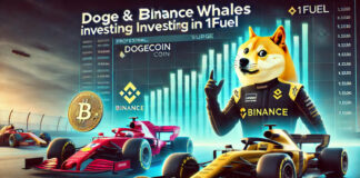 DOGE และ BNB Whales เข้าสะสม 1Fuel
