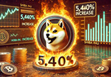 การเผาโทเค็น Shiba Inu พุ่ง 5,440% – หลายล้าน SHIB ถูกทำลาย การเผาโทเค็น SHIB ทะยานขึ้นอย่างรวดเร็ว