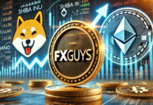FXGuys กำลังมาแรง! นักลงทุนจับตาอาจแซง Shiba Inu และ Cardano FXGuys ($FXG) คืออะไร?